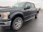 Thumbnail Photo 63 for 2020 Ford F150